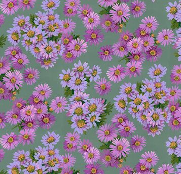 Golden Harvest-Asters2