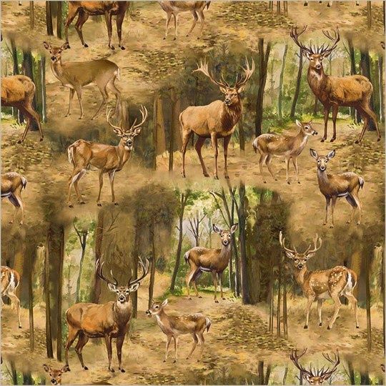 Wildlife - Grove Distinguished Deer