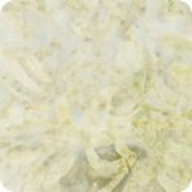 Artisan Batiks - Morning Mist - Tan