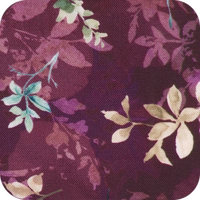 Cider Blossom - Wine