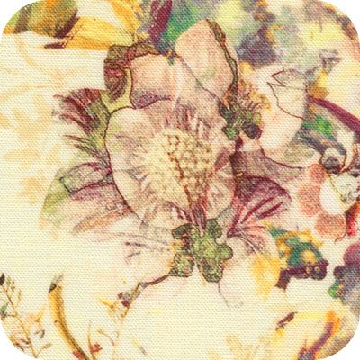 Cider Blossom - Natural2