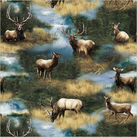 Wildlife- Meadow Elegant Elk