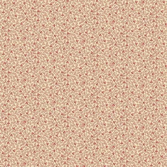 New Dawn - Pink4