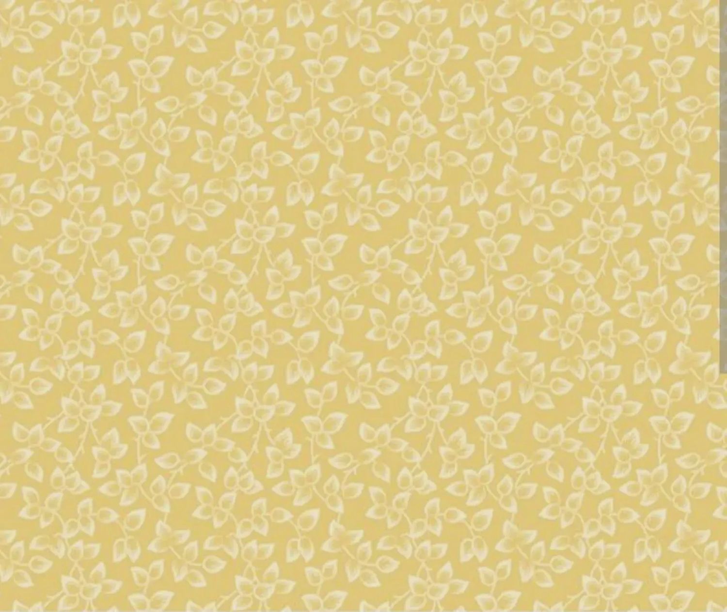 Middleboro Road - Leaves Cream