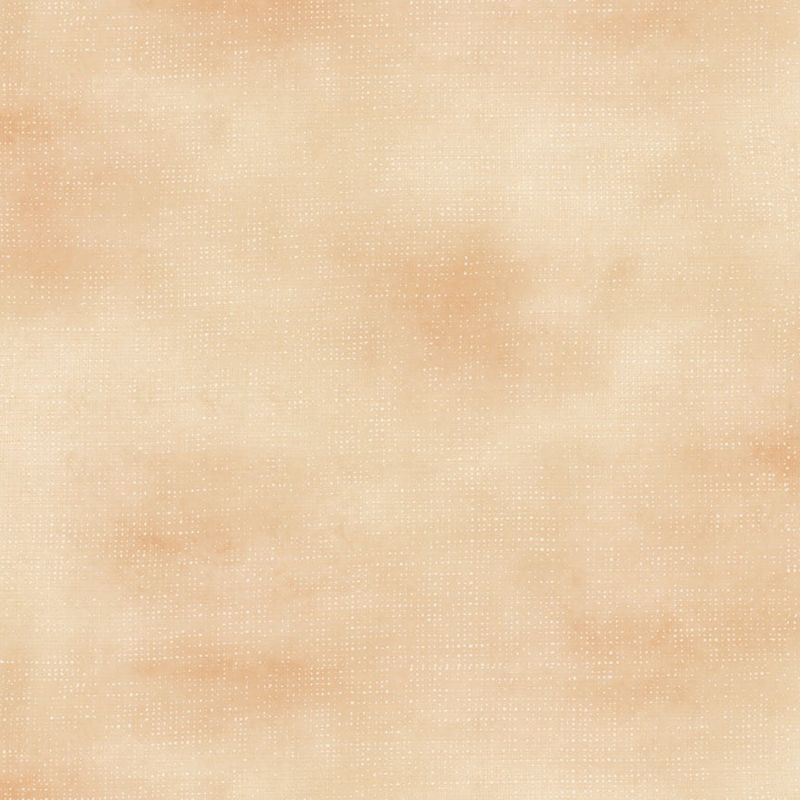 Golden Hour - Peach Tonal