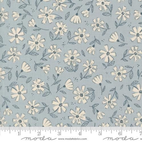 Nature's Sketchbook-Sky Flowers