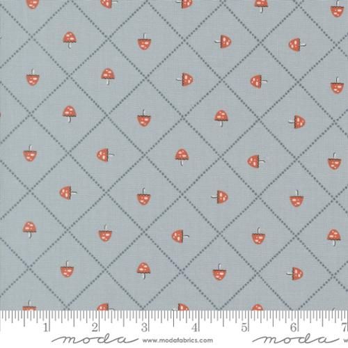 Nature's Sketchbook-Sky Lattice