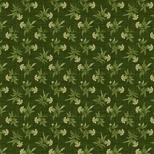 New Dawn - Green