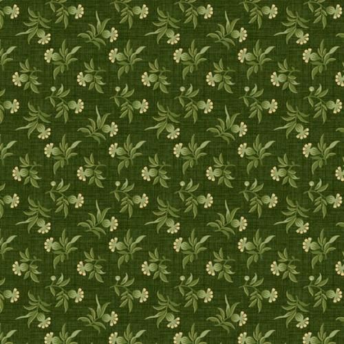 New Dawn - Green