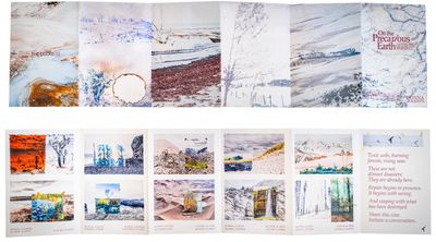 DONNA BASSIN ARTIST ZINE