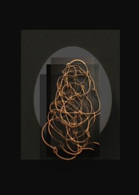 NEGIN DANESHVAR-MALEVERGNE - WHY THE SILENCE NO 1