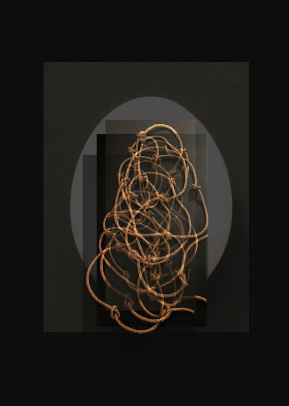 NEGIN DANESHVAR-MALEVERGNE - WHY THE SILENCE NO 1