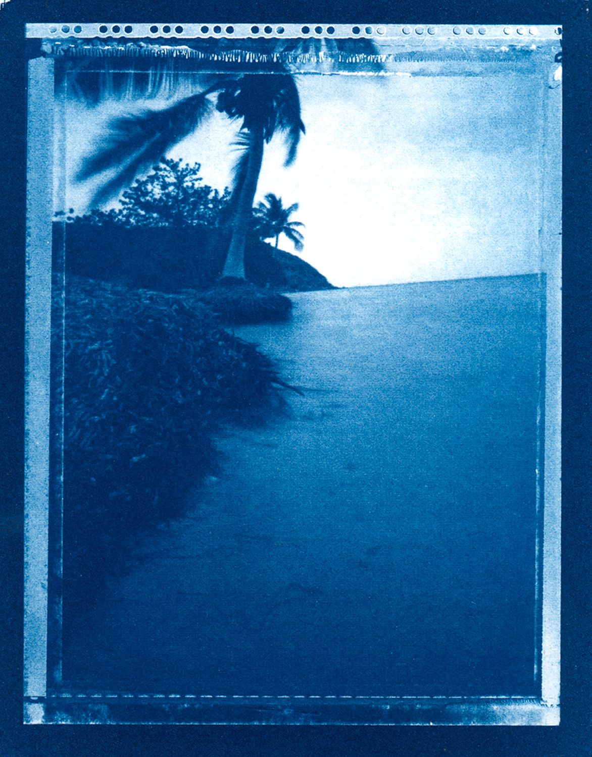 JILL ENFIELD - Puerto Rico Palm and Sea (2010/2026)