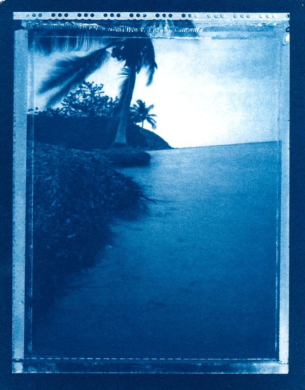 JILL ENFIELD - Puerto Rico Palm and Sea (2010/2026)