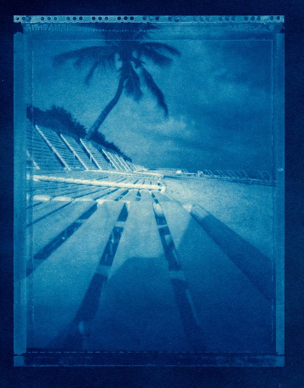 JILL ENFIELD - Beach Chairs and Palm Tree (2010/2026)