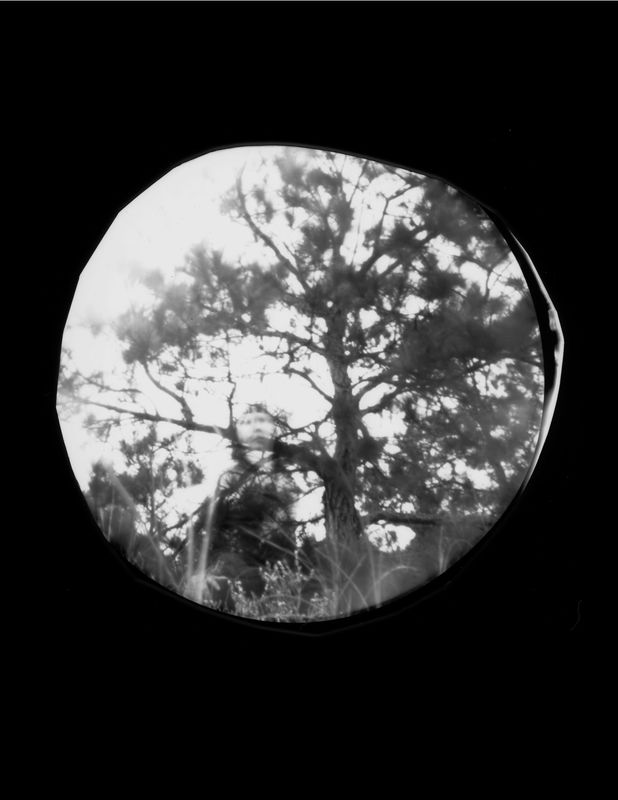 DALE RIO - Untitled, Assateague Island (2020)