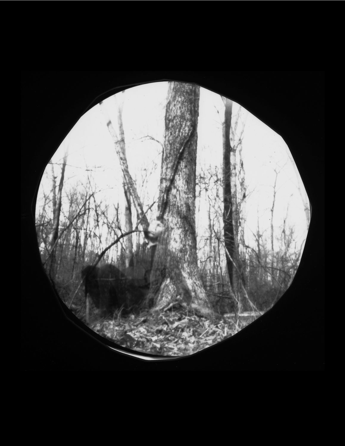 DALE RIO - Untitled, Penwood State Park 1 (2020)