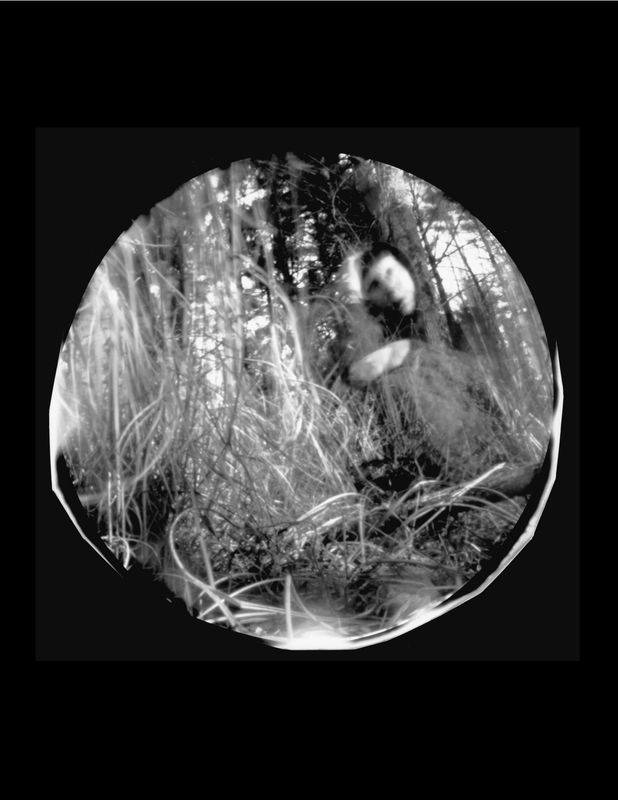 DALE RIO - Untitled, Penland (2019)