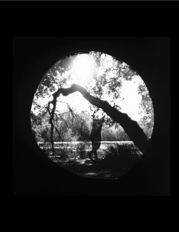 DALE RIO - Untitled, Parvin State Park (2019)