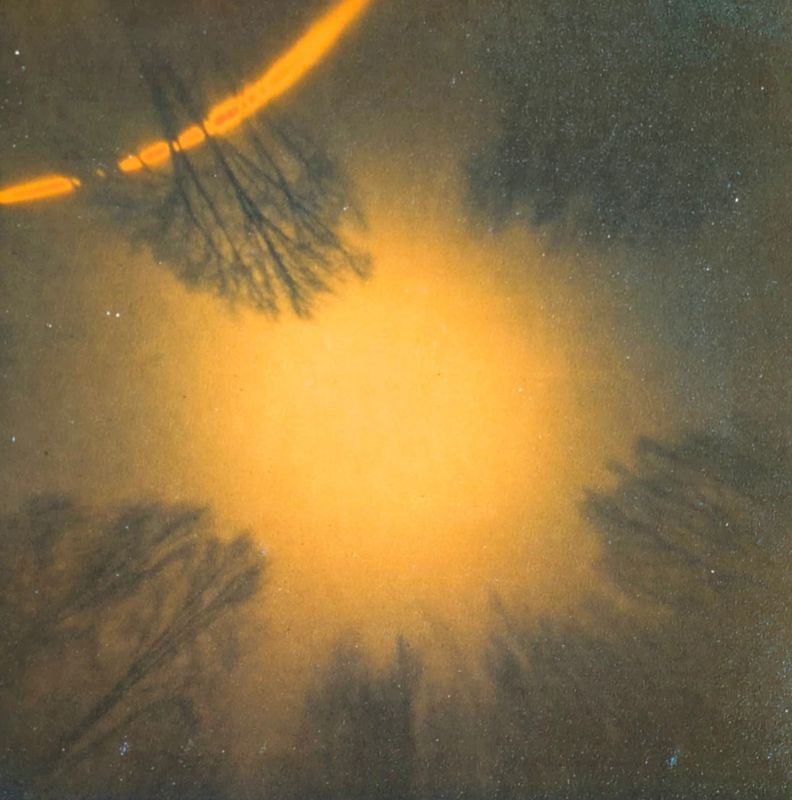HEATHER PALECEK - The Winter Solstice