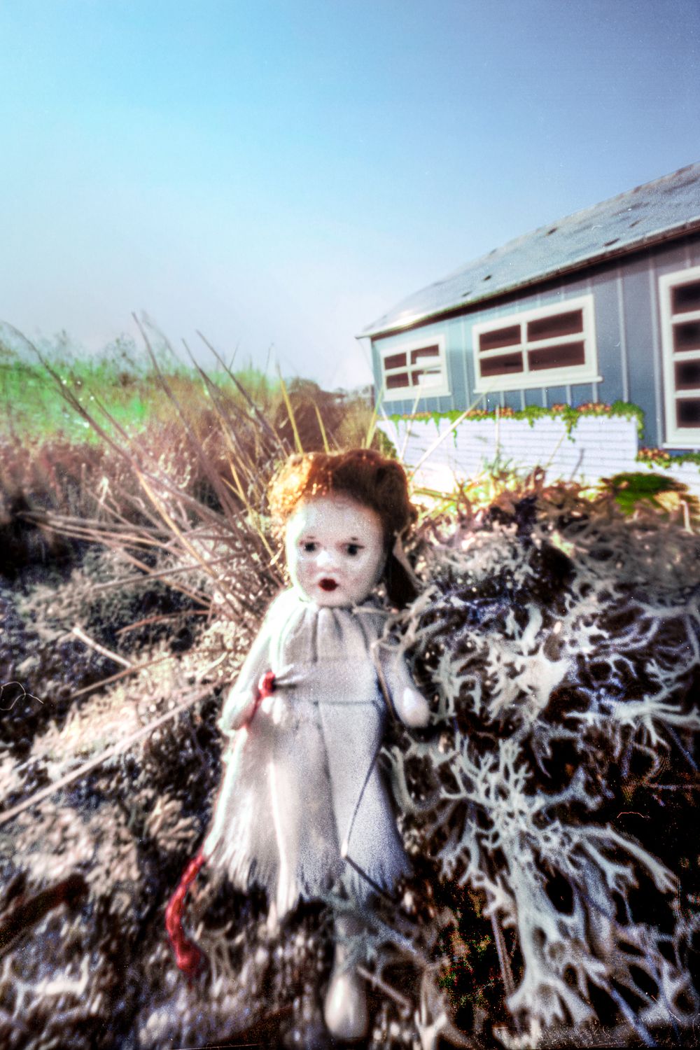 DONNA BASSIN - What Remains: Dollhouse. Olivia. 2 (2003)