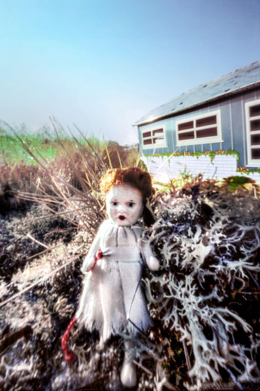 DONNA BASSIN - What Remains: Dollhouse. Olivia. 2 (2003)