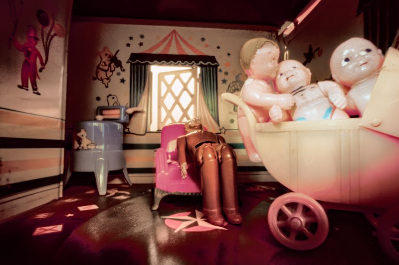 DONNA BASSIN - What Remains: Dollhouse. The Wringer (2003)