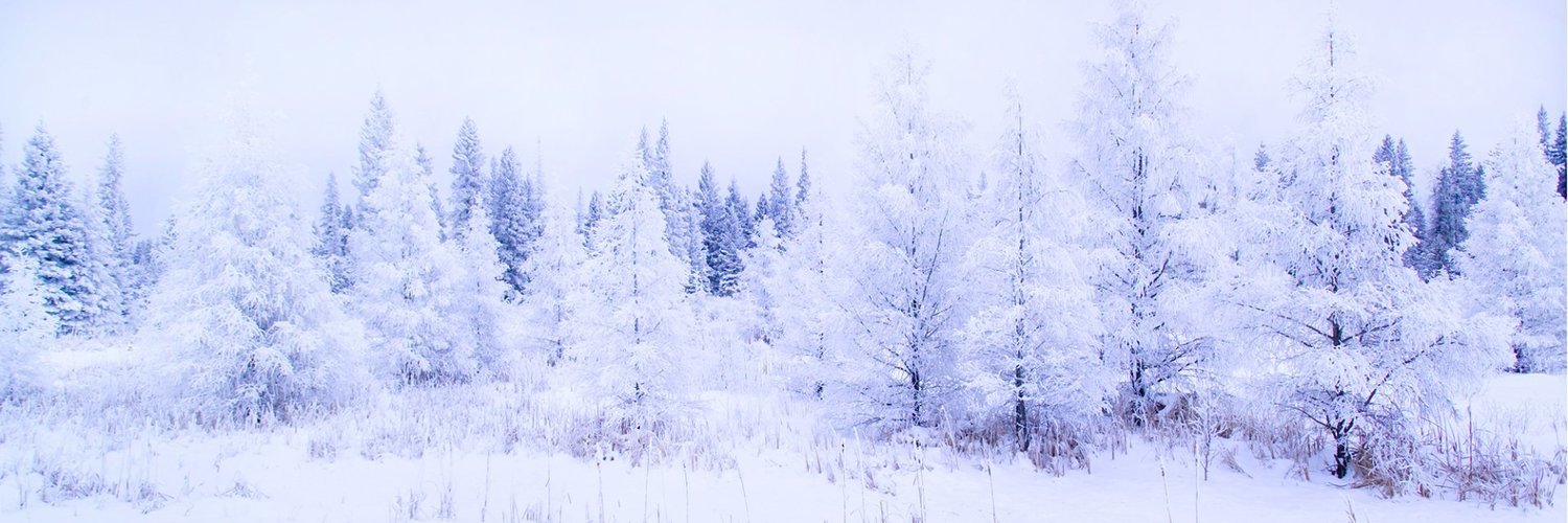 Hoar Frost