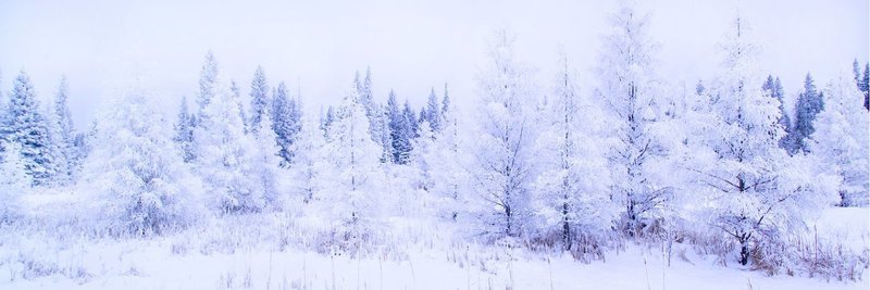 Hoar Frost