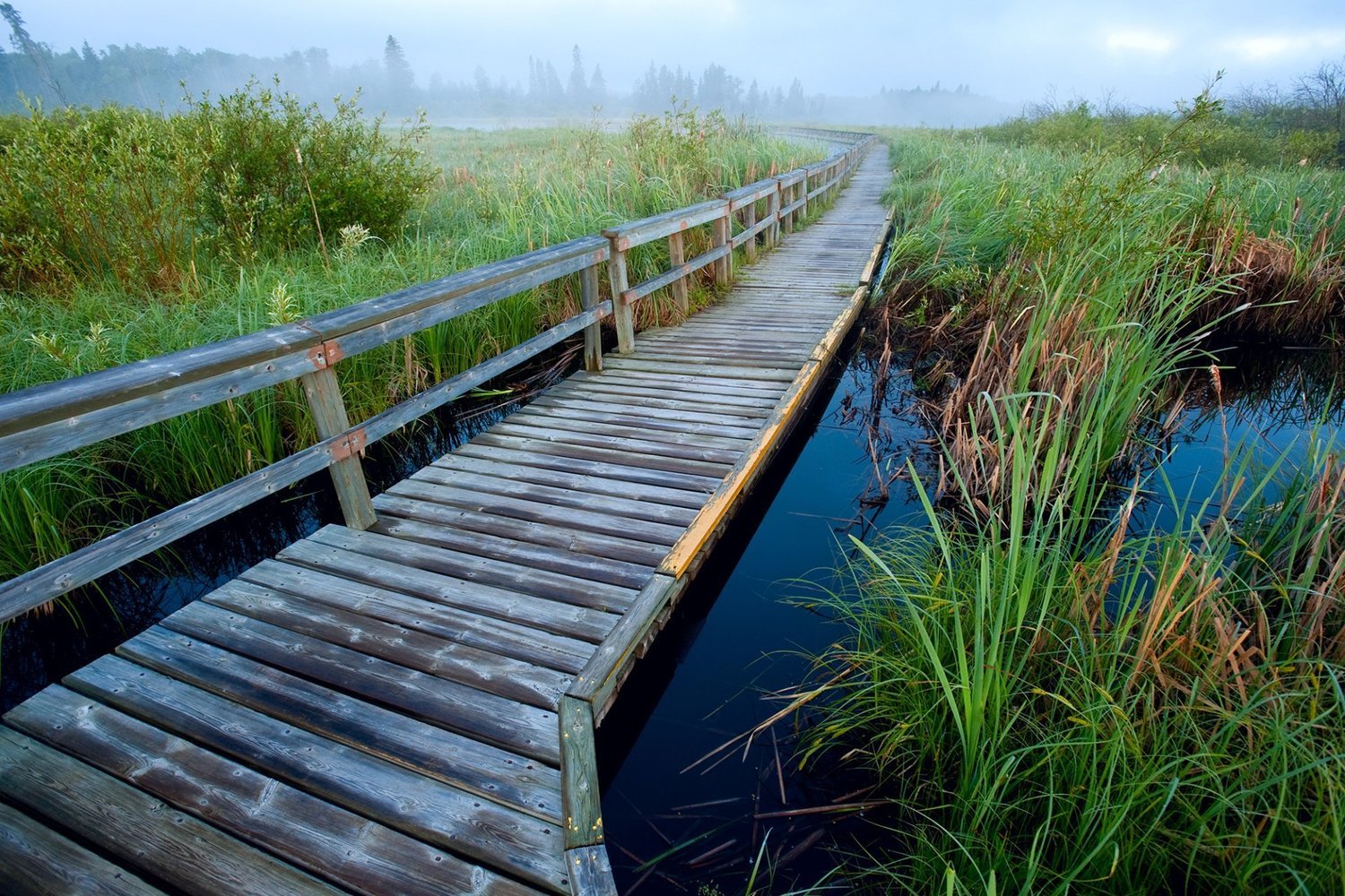 Omnick Marsh Walk
