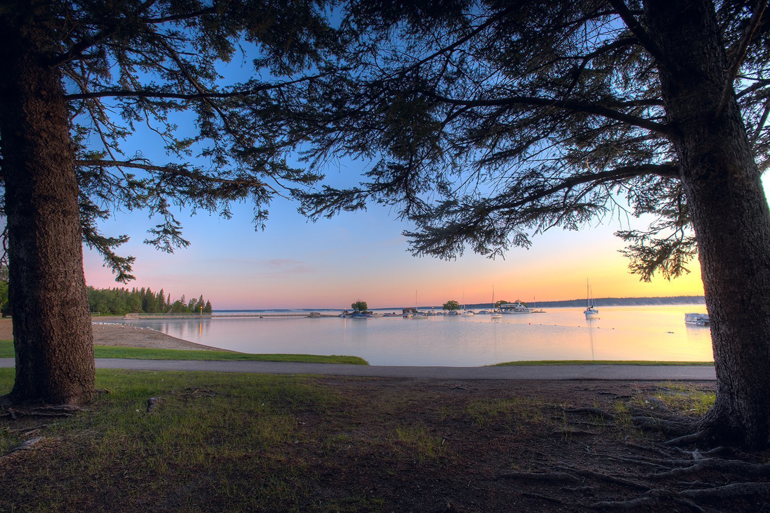 Treesview