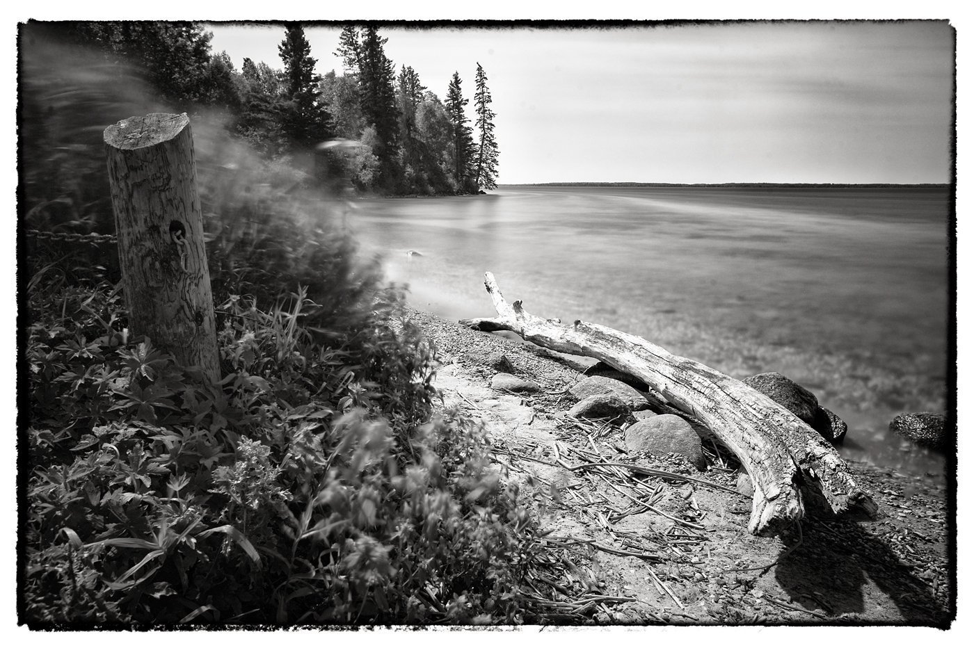 Shore at Spruces