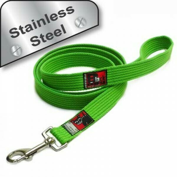 Black Dog Strong Lead