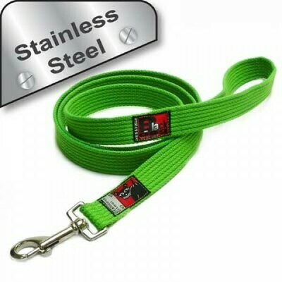Black Dog Strong Lead