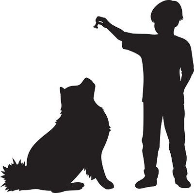 Dog Training Treats
