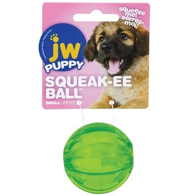 JW Pet Playplace Squeaky Ball