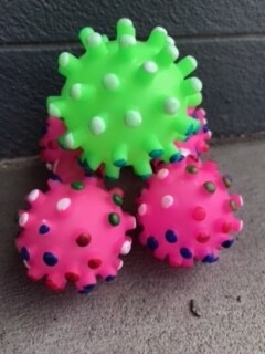 Puppy Squeaky Toys