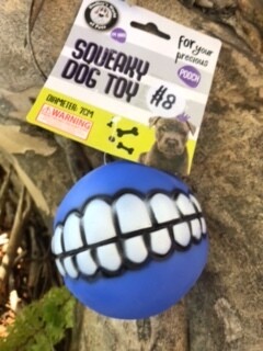Dudley's Squeaky Balls Dog Toy