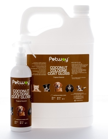 Petway Coconut Gloss