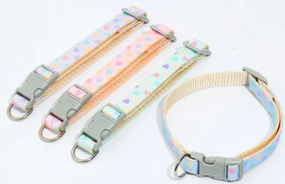 Pattern dog Collar