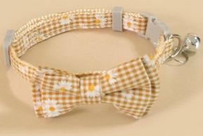 Fancy Small Dog Collars