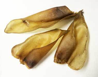 Australian Cows Ears
