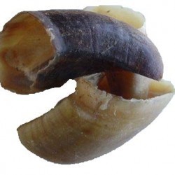 Cow Hooves - Twin pack