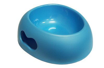 Big Dog Bowl