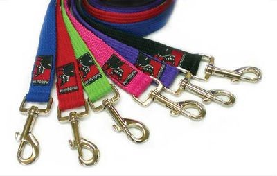 Black Dog Smart Lead