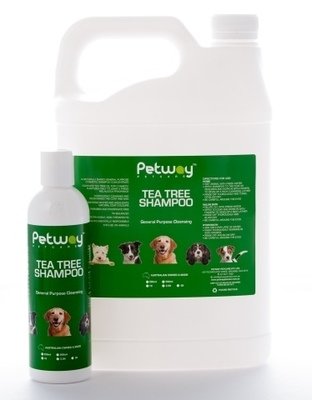 Petway Tea Tree Shampoo