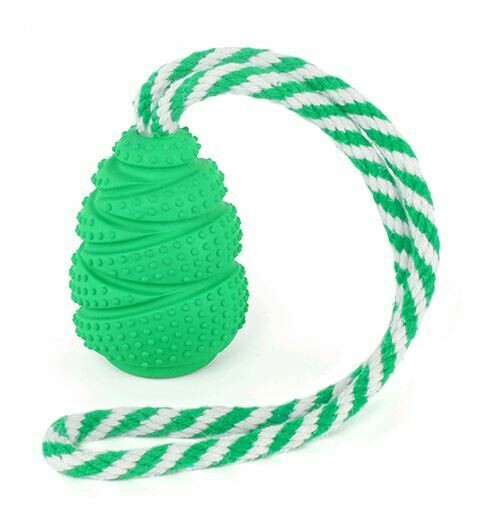 Kazoo Tuff Woogie Dog Toy