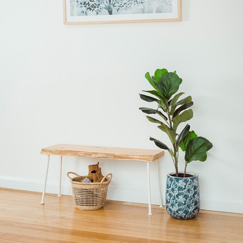 Lottie Hall Bench / Seat | Natural Edge - White Legs