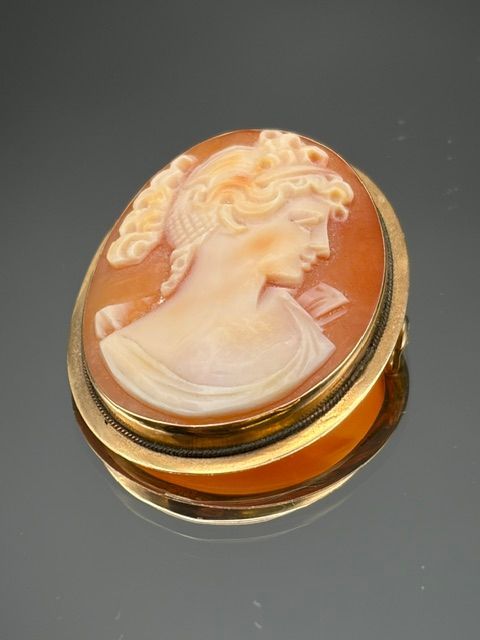 Pendentif/broche camé