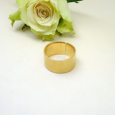 Silver gold-plated ring - mat finishing